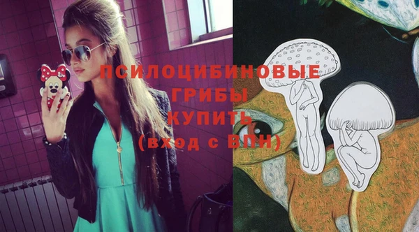кокс Алексеевка