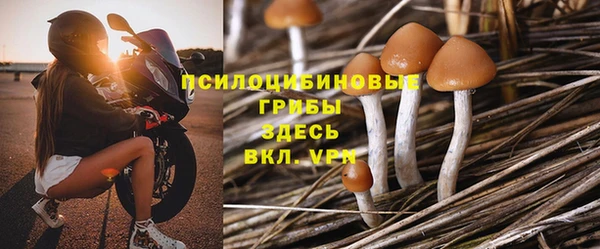 стаф Алексин