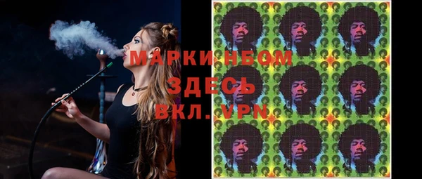 стаф Алексин