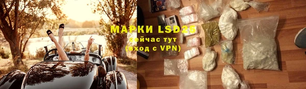 стаф Алексин