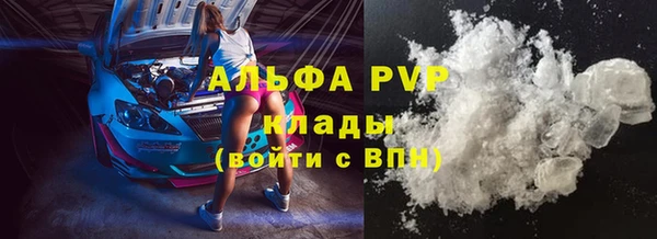 стаф Алексин
